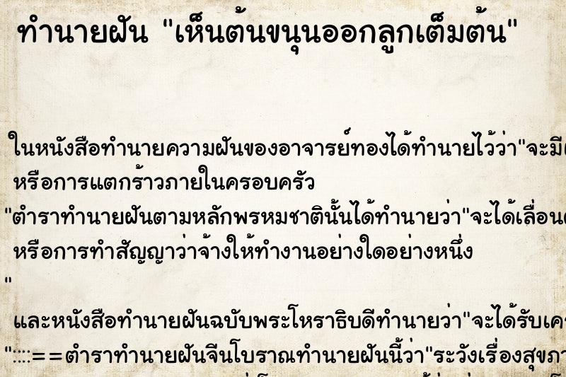 ทำนายฝัน เห็นต้นขนุนออกลูกเต็มต้น ตำราโบราณ แม่นที่สุดในโลก