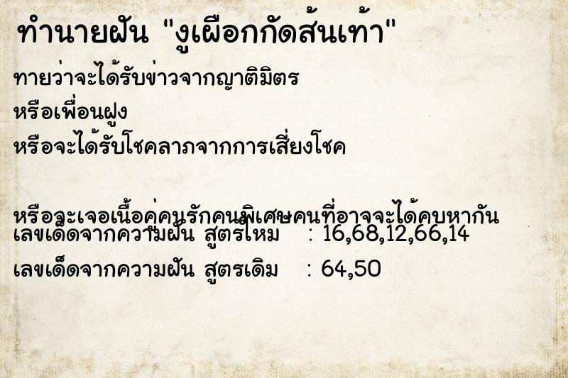 ทำนายฝัน งูเผือกกัดส้นเท้า