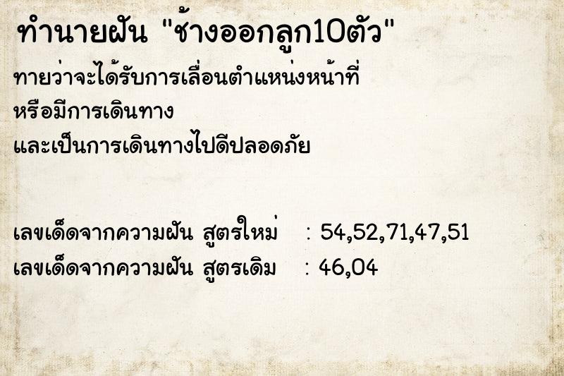 ทำนายฝันช้างออกลูก10ตัว ทำนายฝันทำนายฝันช้างออกลูก10ตัว