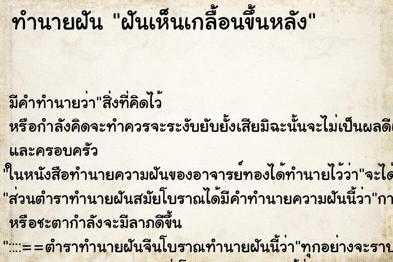 ทำนายฝัน ฝันเห็นเกลื้อนขึ้นหลัง ทำนายฝัน ฝันเห็นเกลื้อนขึ้นหลัง