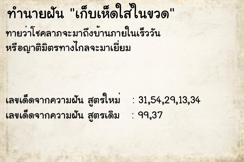 ทำนายฝัน เก็บเห็ดใส่ในขวด ทำนายฝัน เก็บเห็ดใส่ในขวด