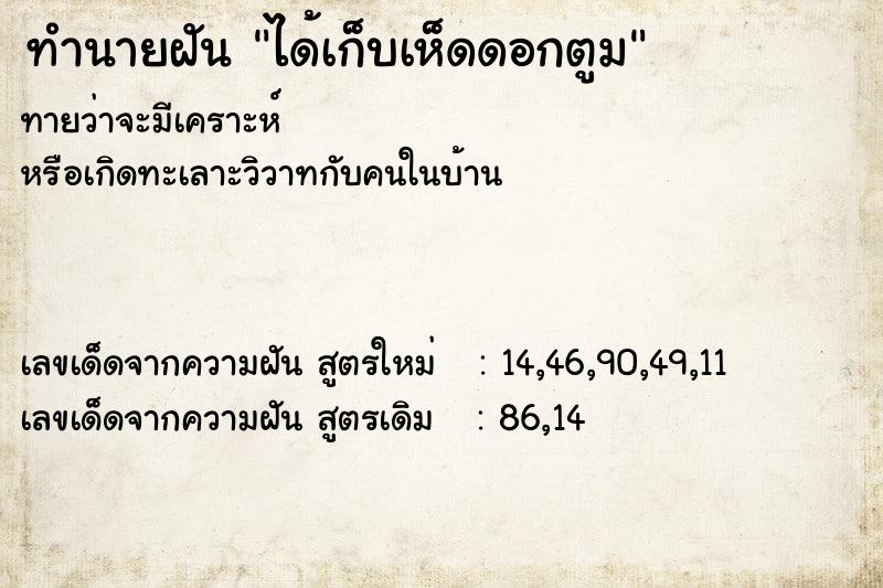 ทำนายฝันทำนายฝันได้เก็บเห็ดดอกตูม