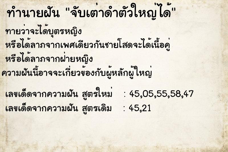 ทำนายฝันจับเต่าดำตัวใหญ่ได้ ทำนายฝันทำนายฝันจับเต่าดำตัวใหญ่ได้