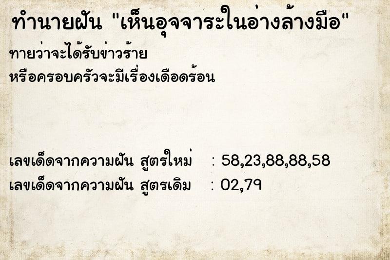 ทำนายฝันทำนายฝันเห็นอุจจาระในอ่างล้างมือ