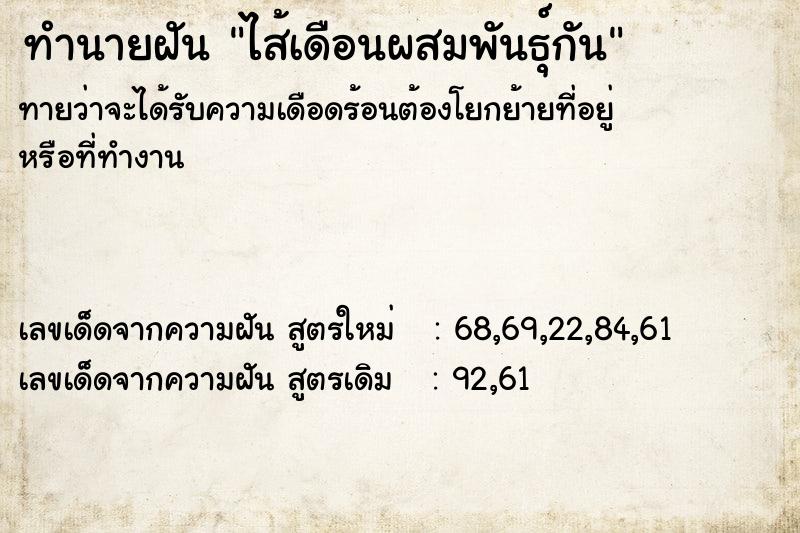 ทำนายฝัน ไส้เดือนผสมพันธุ์กัน ทำนายฝัน ไส้เดือนผสมพันธุ์กัน