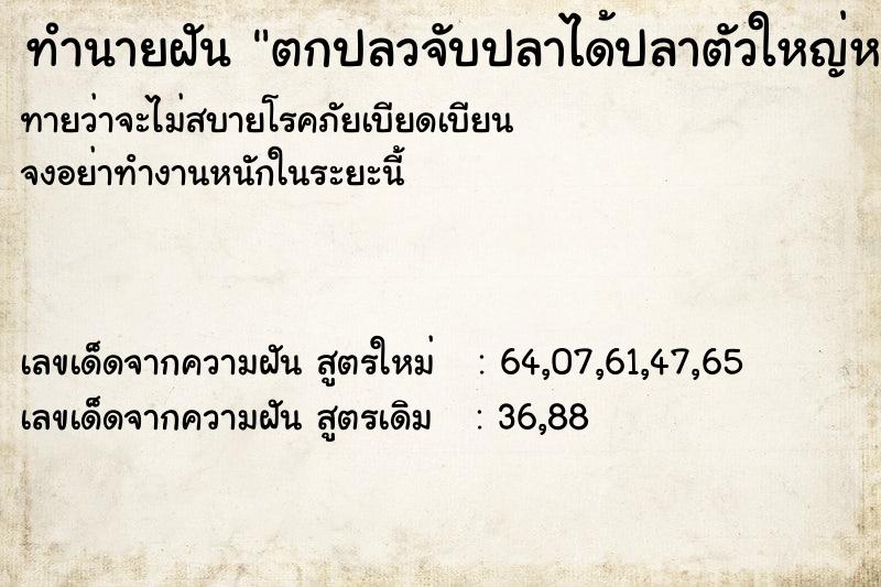 ทำนายฝันตกปลวจับปลาได้ปลาตัวใหญ่หลายตัึ ทำนายฝันทำนายฝันตกปลวจับปลาได้ปลาตัวใหญ่หลายตัึ