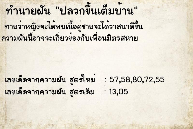 ทำนายฝันทำนายฝันปลวกขึ้นเต็มบ้าน