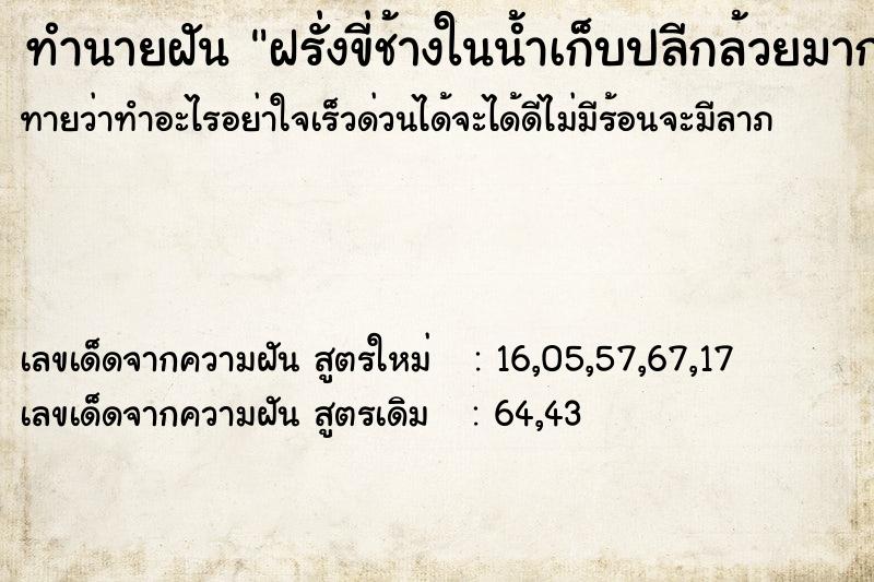 ทำนายฝันฝรั่งขี่ช้างในน้ำเก็บปลีกล้วยมากมาย ทำนายฝันทำนายฝันฝรั่งขี่ช้างในน้ำเก็บปลีกล้วยมากมาย
