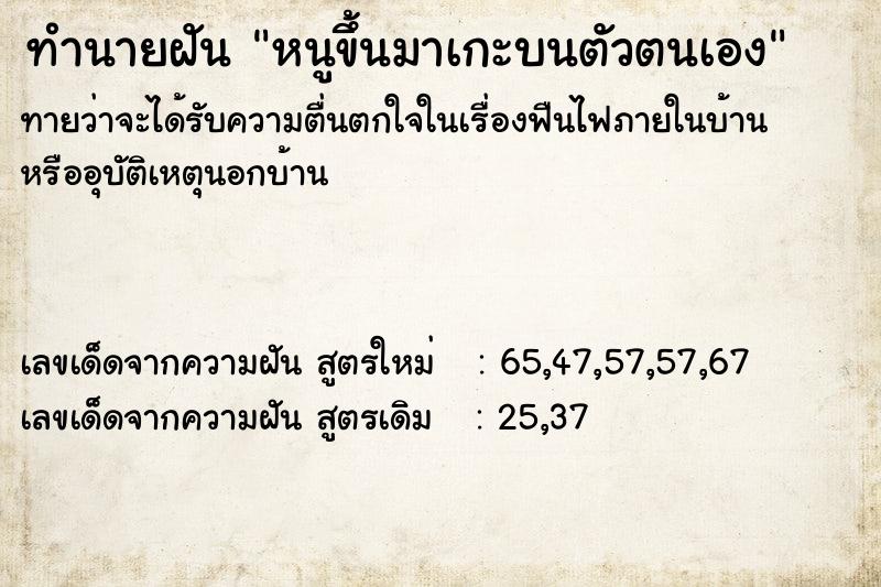 ทำนายฝันทำนายฝันหนูขึ้นมาเกะบนตัวตนเอง