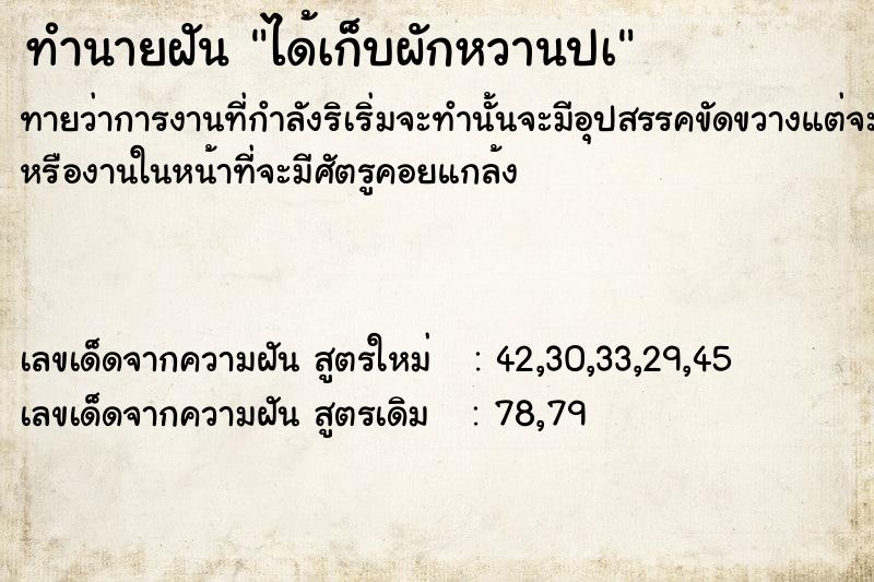 ทำนายฝันได้เก็บผักหวานปà ทำนายฝันทำนายฝันได้เก็บผักหวานปà