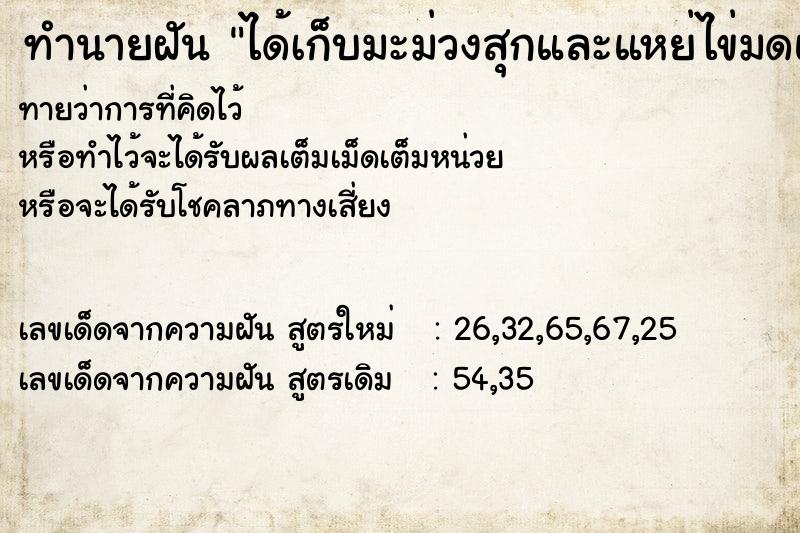 ทำนายฝันได้เก็บมะม่วงสุกและแหย่ไข่มดแดง ทำนายฝันทำนายฝันได้เก็บมะม่วงสุกและแหย่ไข่มดแดง