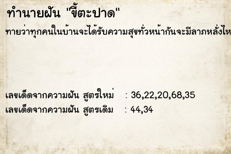 ทำนายฝันทำนายฝันขี้ตะปาด