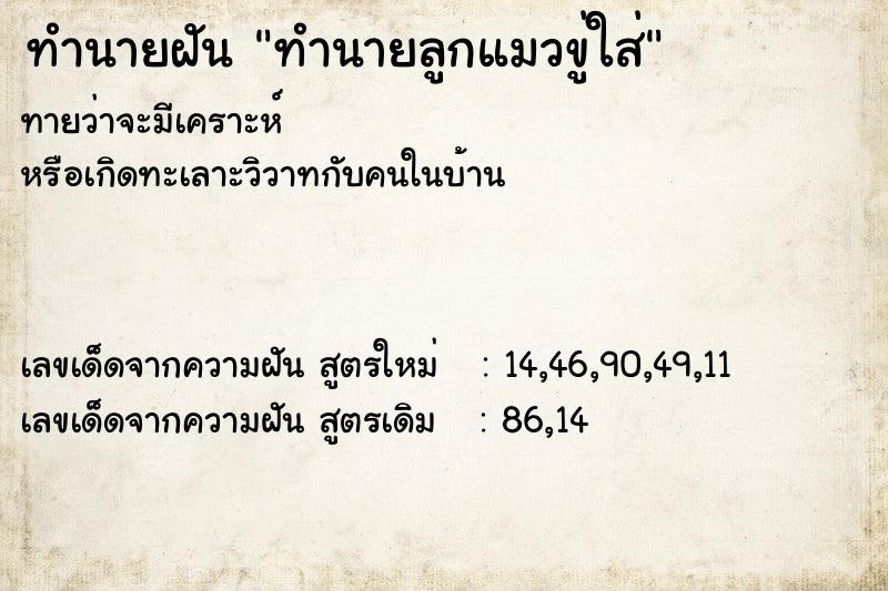 ทำนายฝันทำนายลูกแมวขู่ใส่ ทำนายฝันทำนายฝันทำนายลูกแมวขู่ใส่