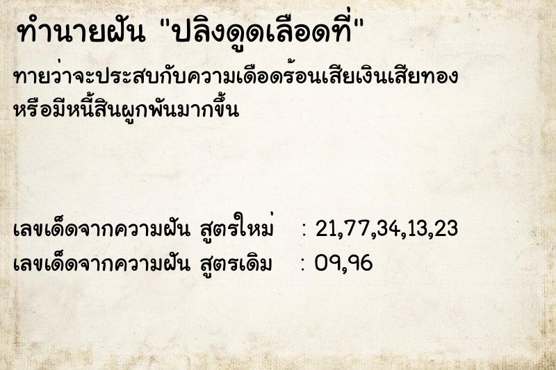 ทำนายฝันปลิงดูดเลือดที่ ทำนายฝันทำนายฝันปลิงดูดเลือดที่