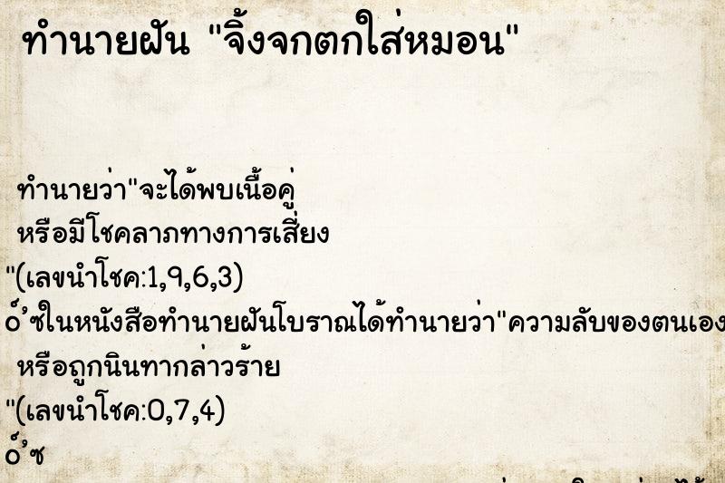 ทำนายฝันจิ้งจกตกใส่หมอน ทำนายฝันทำนายฝันจิ้งจกตกใส่หมอน