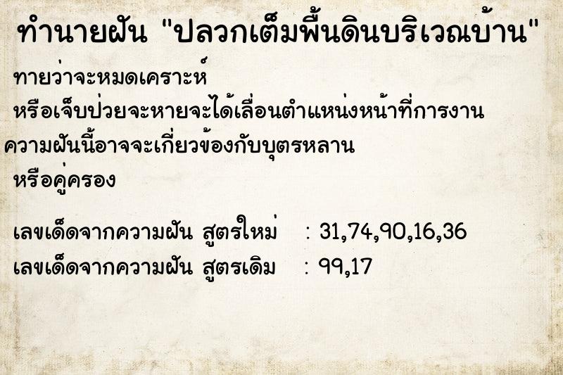 ทำนายฝัน ปลวกเต็มพื้นดินบริเวณบ้าน ทำนายฝัน ปลวกเต็มพื้นดินบริเวณบ้าน