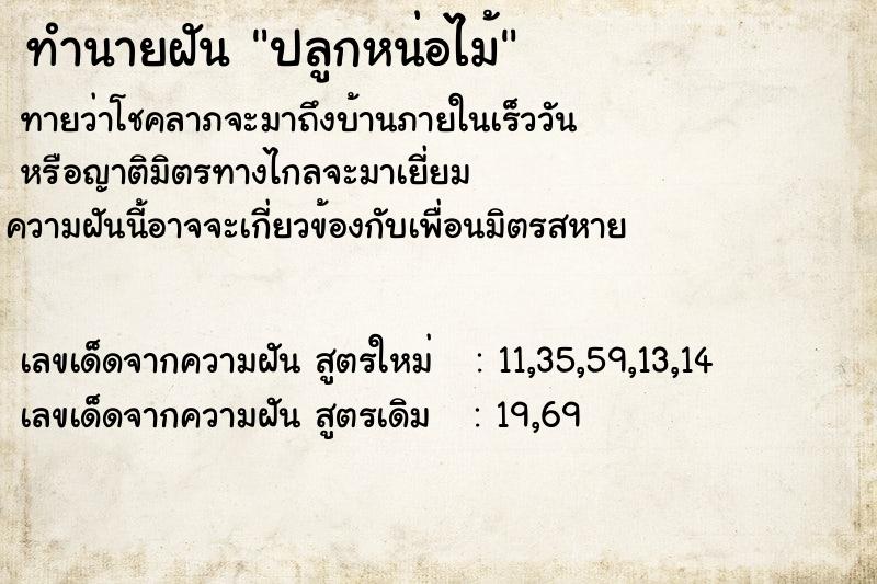 ทำนายฝันปลูกหน่อไม้ ทำนายฝันทำนายฝันปลูกหน่อไม้