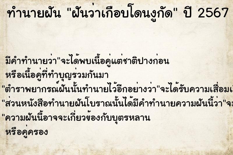 ทำนายฝัน ฝันว่าเกือบโดนงูกัด ทำนายฝัน ฝันว่าเกือบโดนงูกัด