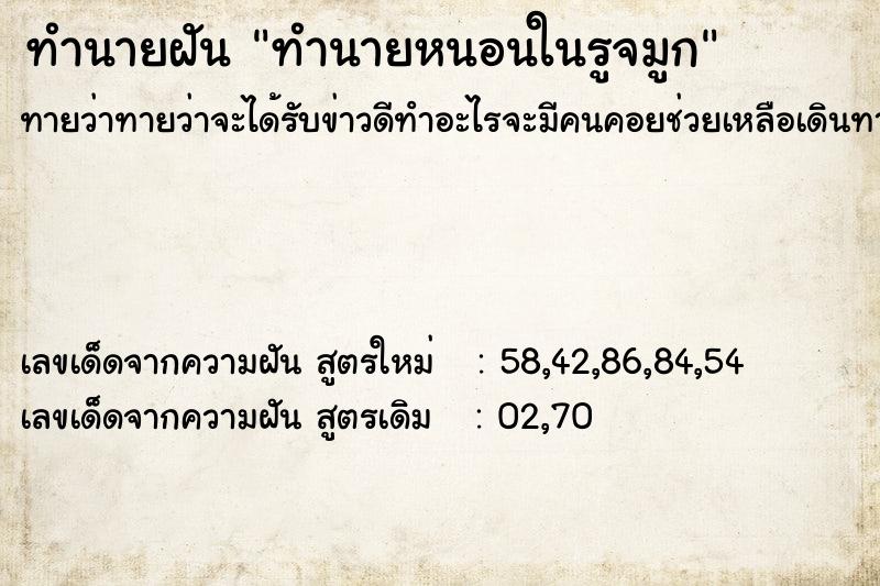 ทำนายฝันทำนายหนอนในรูจมูก ทำนายฝันทำนายฝันทำนายหนอนในรูจมูก