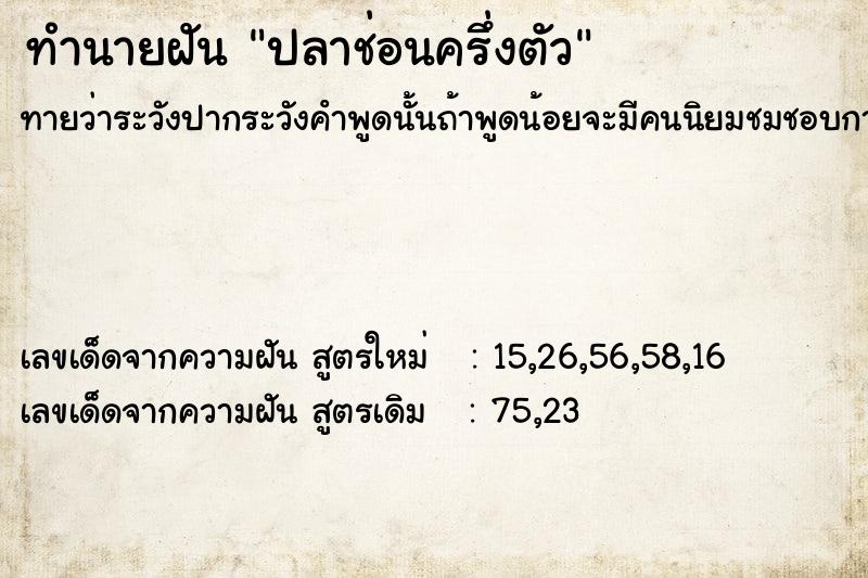 ทำนายฝันปลาช่อนครึ่งตัว ทำนายฝันทำนายฝันปลาช่อนครึ่งตัว