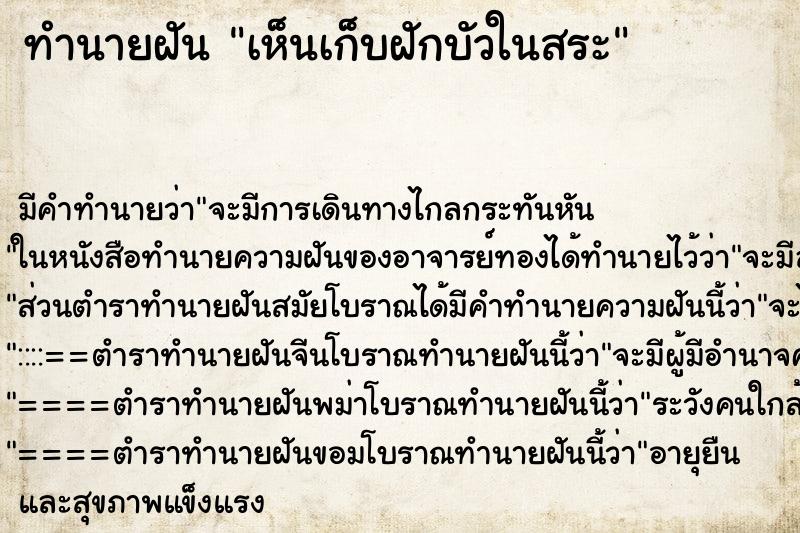 ทำนายฝัน เห็นเก็บฝักบัวในสระ ทำนายฝัน เห็นเก็บฝักบัวในสระ