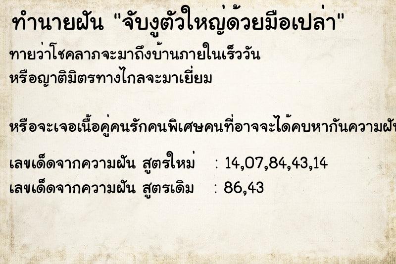 ทำนายฝันจับงูตัวใหญ่ด้วยมือเปล่า ทำนายฝันทำนายฝันจับงูตัวใหญ่ด้วยมือเปล่า
