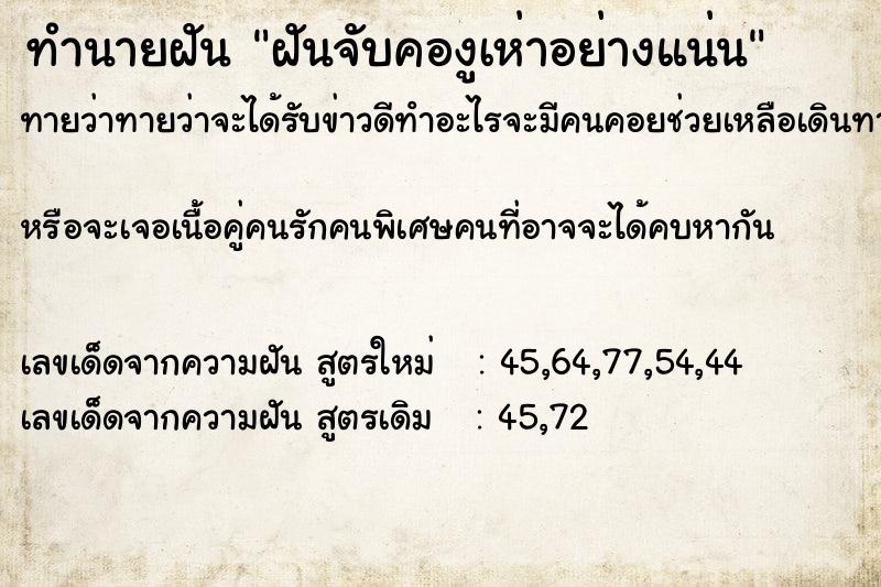 ทำนายฝันฝันจับคองูเห่าอย่างแน่น ทำนายฝันทำนายฝันฝันจับคองูเห่าอย่างแน่น
