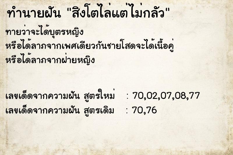 ทำนายฝันสิงโตไล่แต่ไม่กลัว ทำนายฝันทำนายฝันสิงโตไล่แต่ไม่กลัว