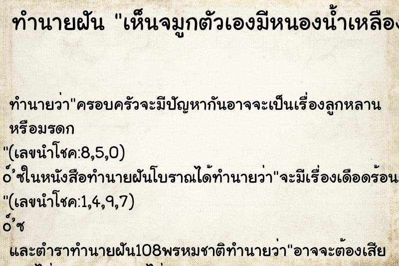 ทำนายฝันทำนายฝันเห็นจมูกตัวเองมีหนองน้ำเหลืองซึมออกมาที่ปลายจมูก