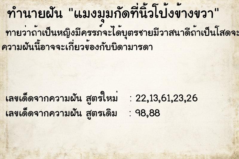 ทำนายฝันแมงมุมกัดที่นิ้วโป้งข้างขวา ทำนายฝันทำนายฝันแมงมุมกัดที่นิ้วโป้งข้างขวา