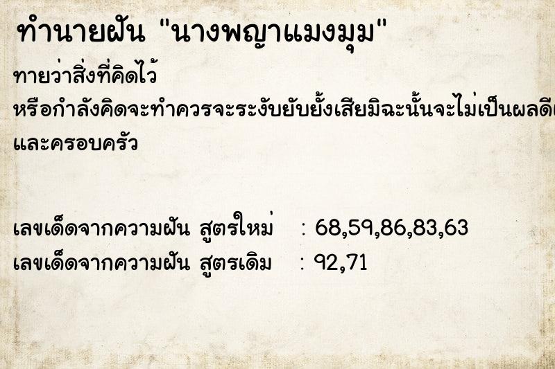 ทำนายฝันนางพญาแมงมุม ทำนายฝันทำนายฝันนางพญาแมงมุม