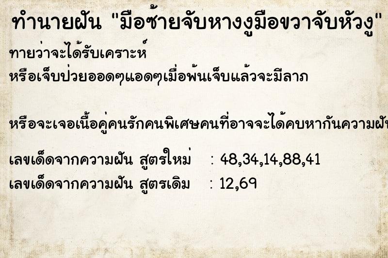 ทำนายฝันมือซ้ายจับหางงูมือขวาจับหัวงู ทำนายฝันทำนายฝันมือซ้ายจับหางงูมือขวาจับหัวงู