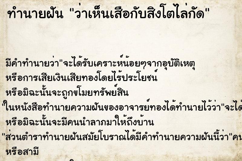 ทำนายฝันว่าเห็นเสือกับสิงโตไล่กัด ทำนายฝันทำนายฝันว่าเห็นเสือกับสิงโตไล่กัด
