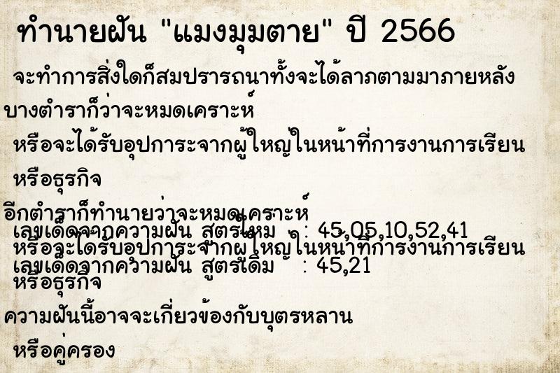 ทำนายฝันแมงมุมตาย ทำนายฝันทำนายฝันแมงมุมตาย