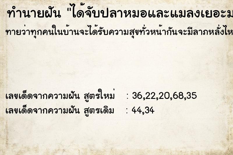 ทำนายฝันทำนายฝันได้จับปลาหมอและแมลงเยอะมาก