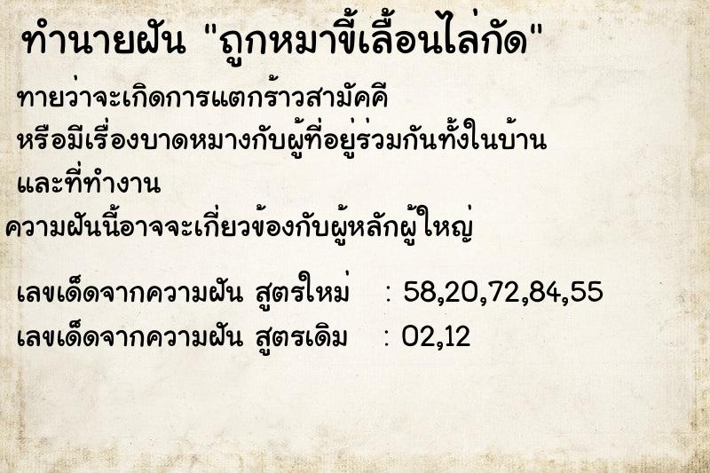 ทำนายฝัน ถูกหมาขี้เลื้อนไล่กัด ทำนายฝัน ถูกหมาขี้เลื้อนไล่กัด