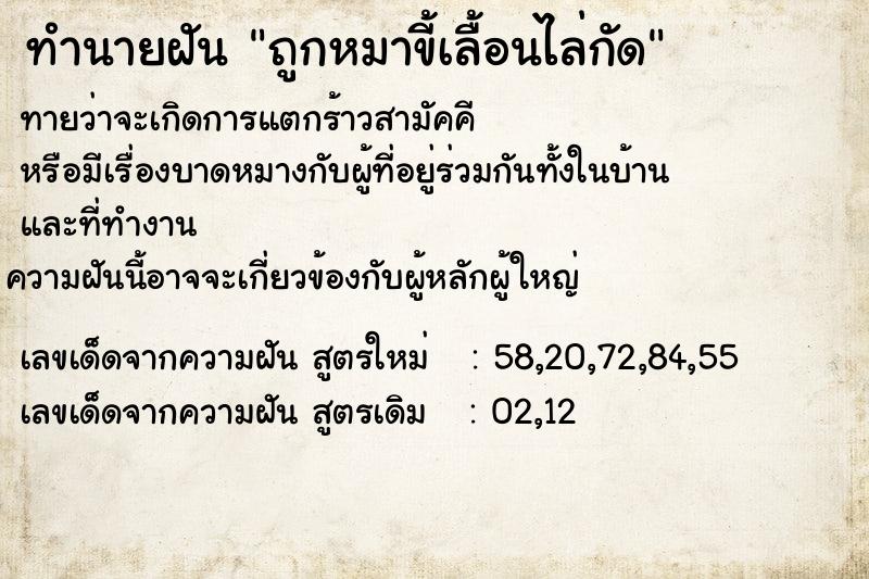 ทำนายฝัน ถูกหมาขี้เลื้อนไล่กัด ตำราโบราณ แม่นที่สุดในโลก