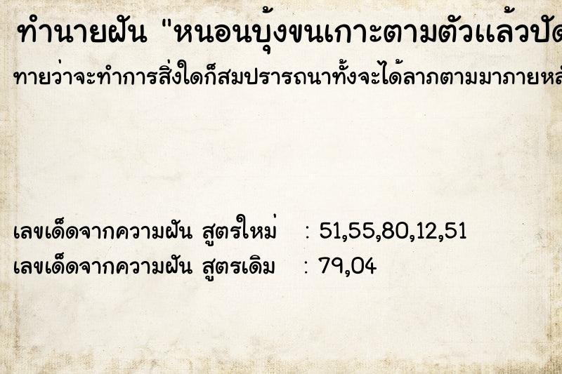 ทำนายฝันหนอนบุ้งขนเกาะตามตัวเเล้วปัดออก ทำนายฝันทำนายฝันหนอนบุ้งขนเกาะตามตัวเเล้วปัดออก