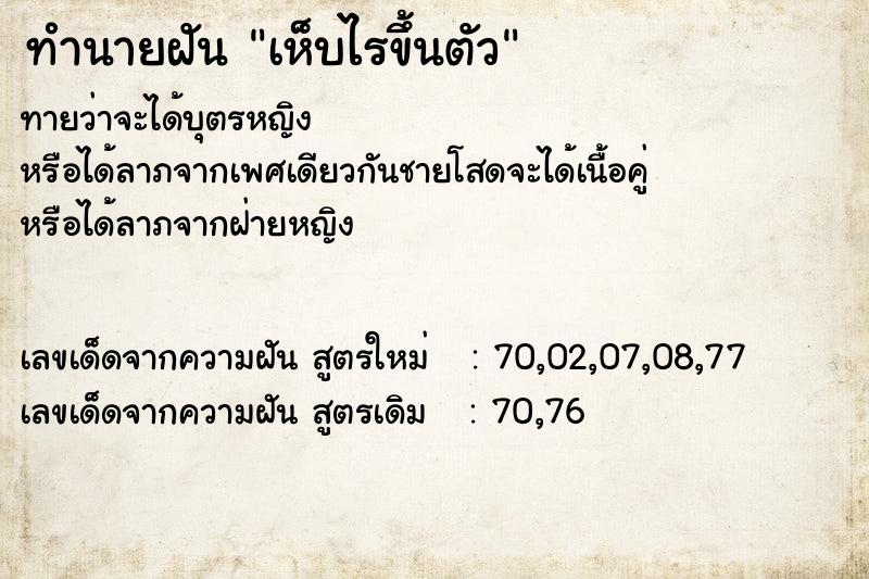 ทำนายฝันทำนายฝันเห็บไรขึ้นตัว