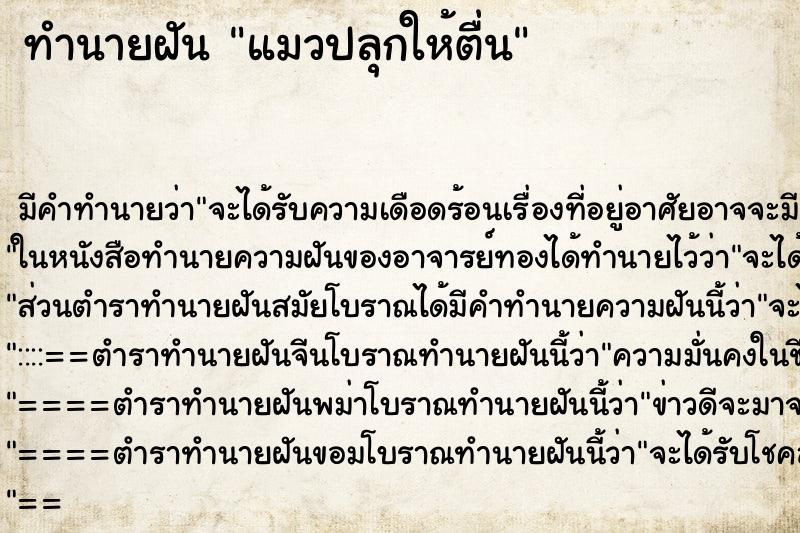 ทำนายฝันแมวปลุกให้ตื่น ทำนายฝันทำนายฝันแมวปลุกให้ตื่น