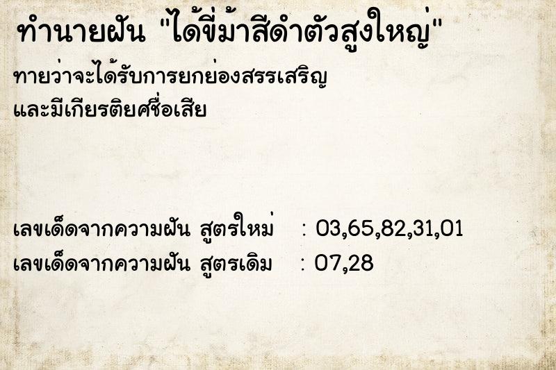 ทำนายฝันทำนายฝันได้ขี่ม้าสีดำตัวสูงใหญ่