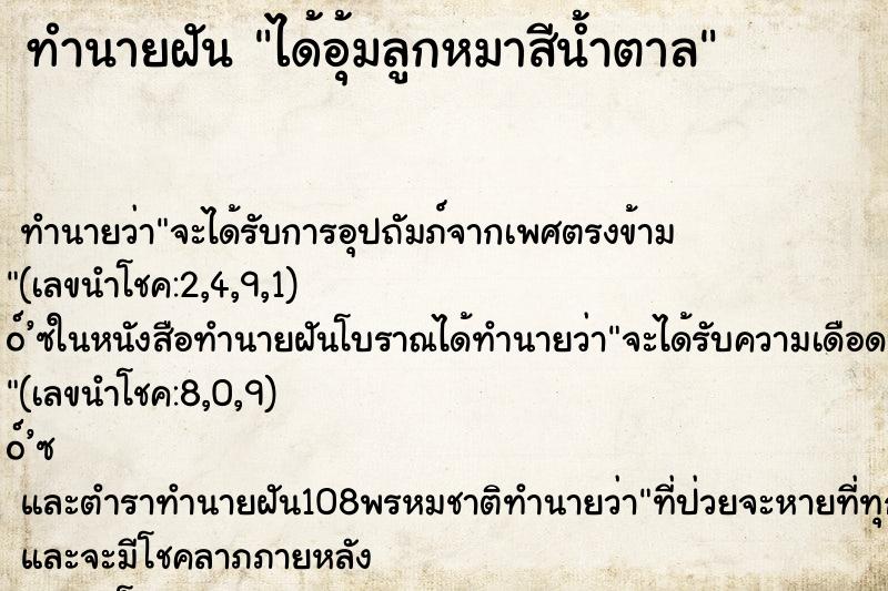 ทำนายฝัน ได้อุ้มลูกหมาสีน้ำตาล