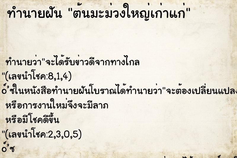 ทำนายฝัน ต้นมะม่วงใหญ่เก่าแก่ ทำนายฝัน ต้นมะม่วงใหญ่เก่าแก่