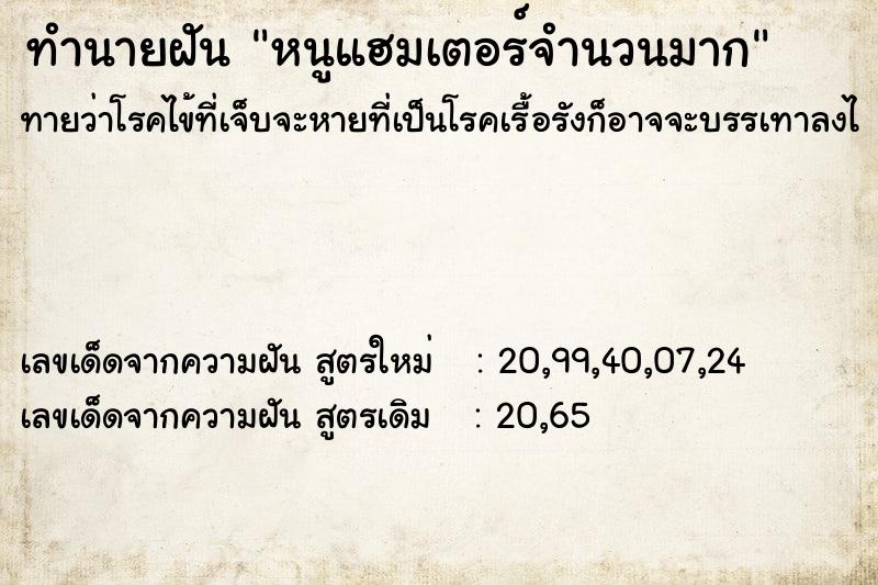 ทำนายฝันหนูแฮมเตอร์จำนวนมาก ทำนายฝันทำนายฝันหนูแฮมเตอร์จำนวนมาก