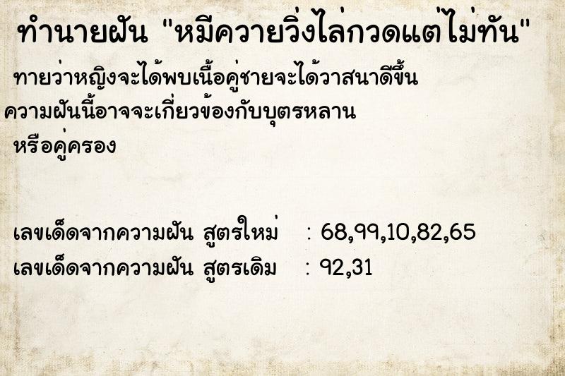 ทำนายฝันหมีควายวิ่งไล่กวดแต่ไม่ทัน ทำนายฝันทำนายฝันหมีควายวิ่งไล่กวดแต่ไม่ทัน