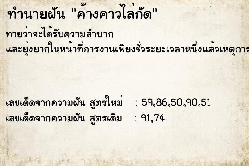 ทำนายฝันทำนายฝันค้างคาวไล่กัด