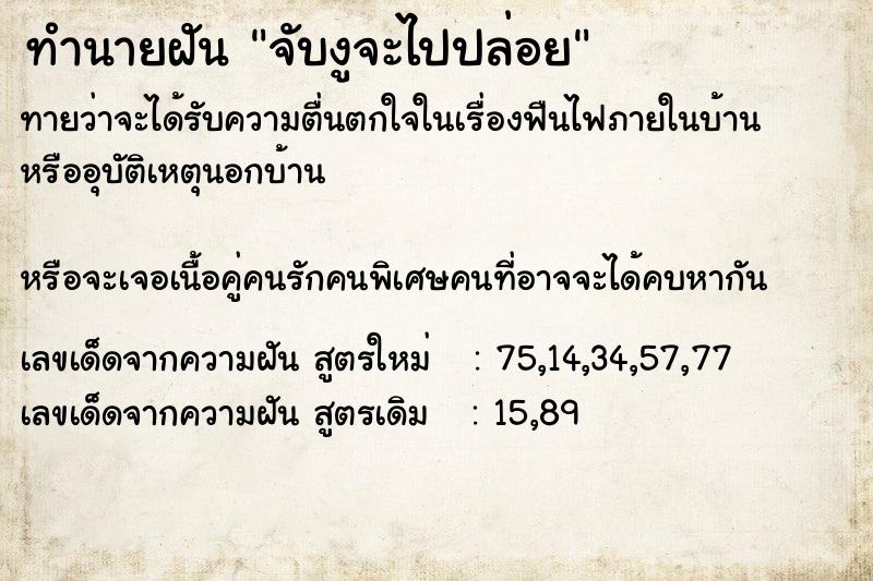 ทำนายฝันจับงูจะไปปล่อย ทำนายฝันทำนายฝันจับงูจะไปปล่อย