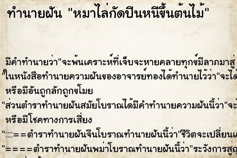 ทำนายฝัน หมาไล่กัดปีนหนีขึ้นต้นไม้ ทำนายฝัน หมาไล่กัดปีนหนีขึ้นต้นไม้