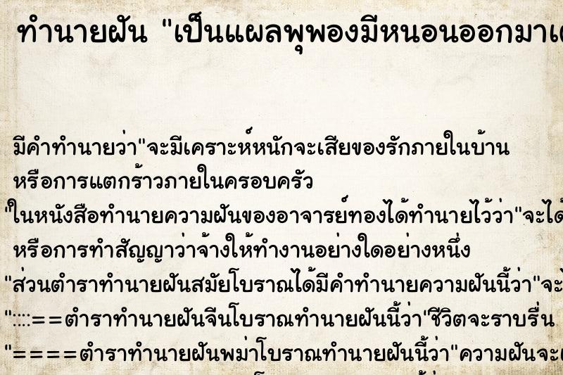 ทำนายฝัน เป็นแผลพุพองมีหนอนออกมาเต็มตัว ทำนายฝัน เป็นแผลพุพองมีหนอนออกมาเต็มตัว