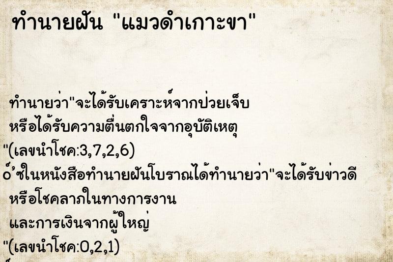 ทำนายฝันแมวดำเกาะขา ทำนายฝันทำนายฝันแมวดำเกาะขา